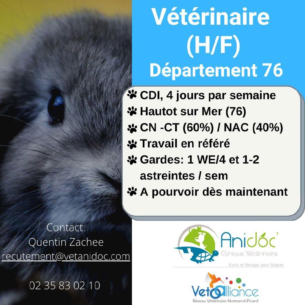 recherche-cdi-veterinaire-4-j-sem