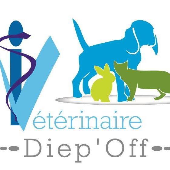 logo veterinaires-diepoff
