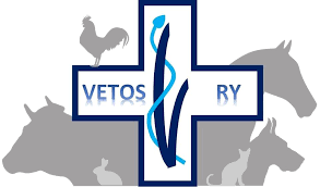 logo selarl-vetory